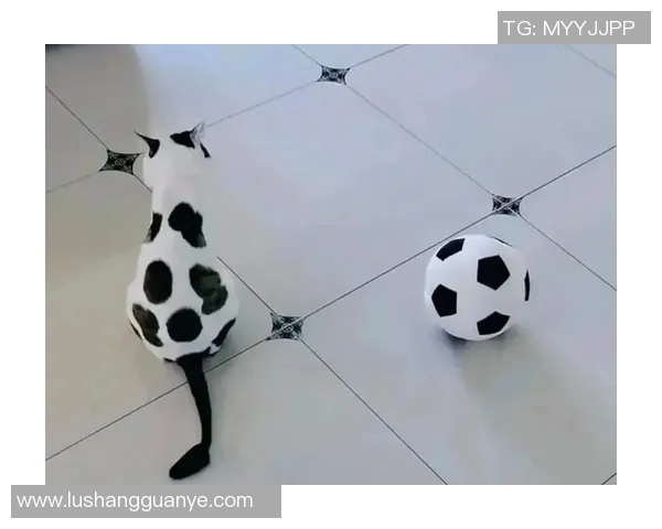 足球明星与猫咪的亲密关系谁是养猫最多的球场巨星